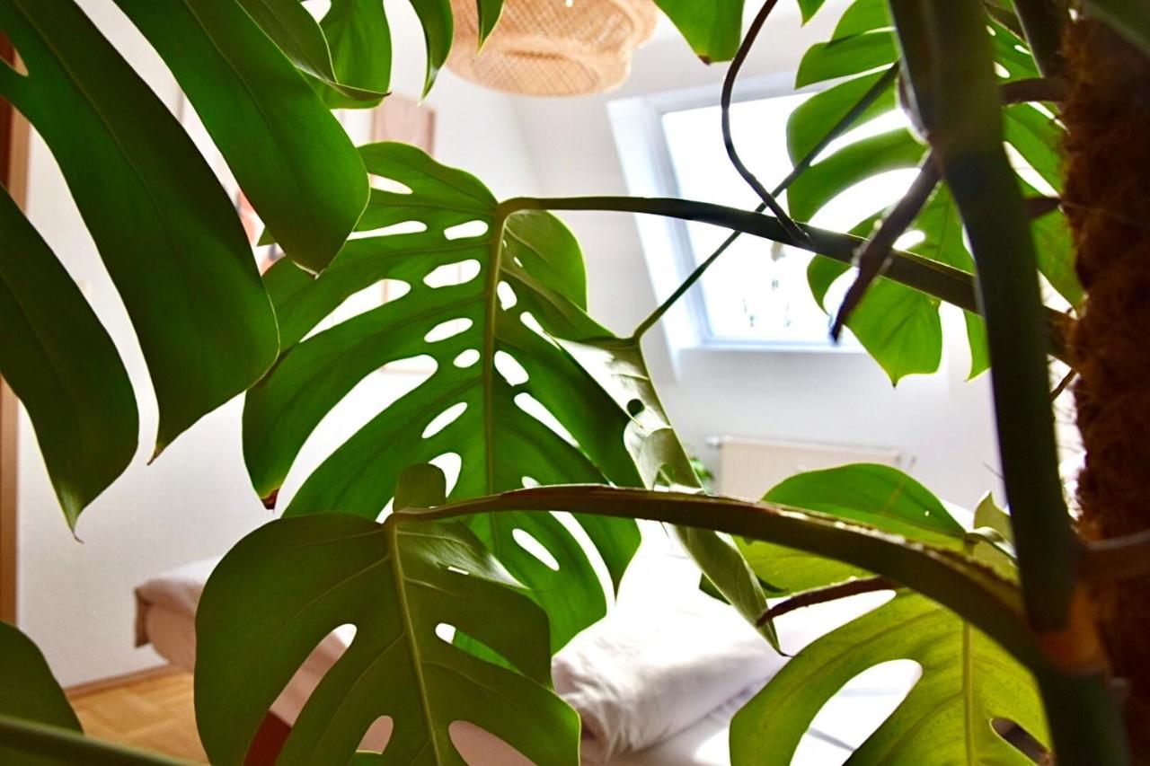 Greenbnbs: Cozy Urban Jungle In The City Centre Έσσεν Εξωτερικό φωτογραφία