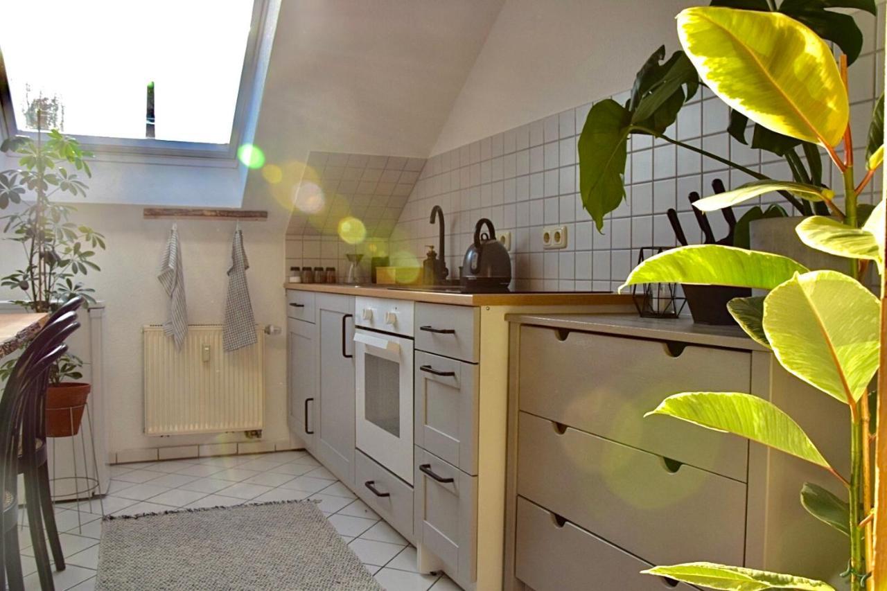 Greenbnbs: Cozy Urban Jungle In The City Centre Έσσεν Εξωτερικό φωτογραφία