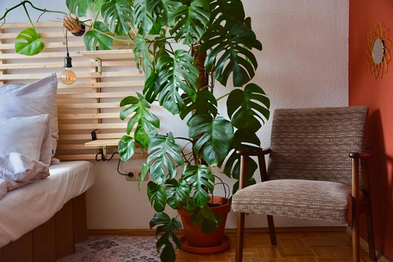 Greenbnbs: Cozy Urban Jungle In The City Centre Έσσεν Εξωτερικό φωτογραφία