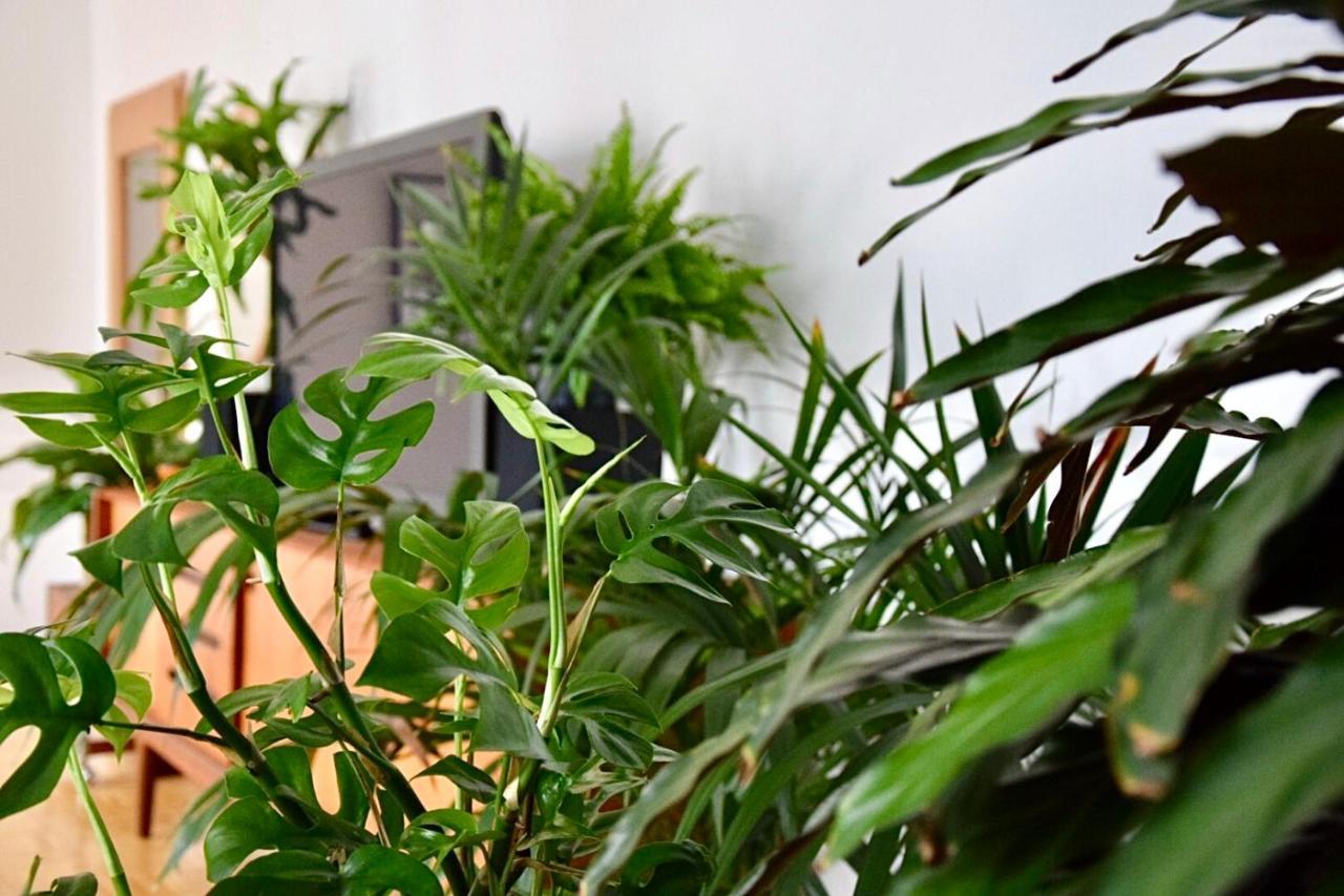 Greenbnbs: Cozy Urban Jungle In The City Centre Έσσεν Εξωτερικό φωτογραφία